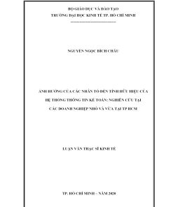 Ảnh Hưởng Của Các Nhân Tố Đến Tính Hữu Hiệu Của Hệ Thống Thông Tin Kế Toán: Nghiên Cứu Tại Các Doanh Nghiệp Nhỏ Và Vừa Tại Tp Hcm