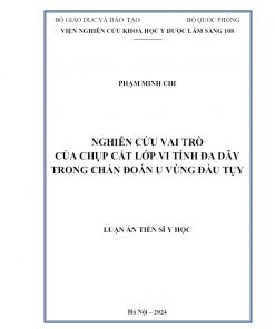 Nghiên cứu Vai Trò Của Chụp Cắt Lớp Vi Tính Đa Dãy Trong Chẩn Đoán U Vùng Đầu Tụy