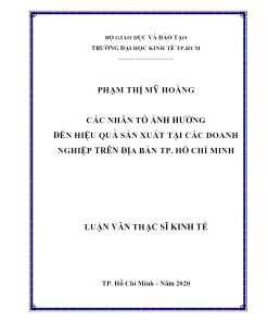 CÁC NHÂN TỐ ẢNH HƯỞNG ĐẾN HIỆU QUẢ SẢN XUẤT TẠI CÁC DOANH NGHIỆP TRÊN ĐỊA BÀN TP. HỒ CHÍ MINH