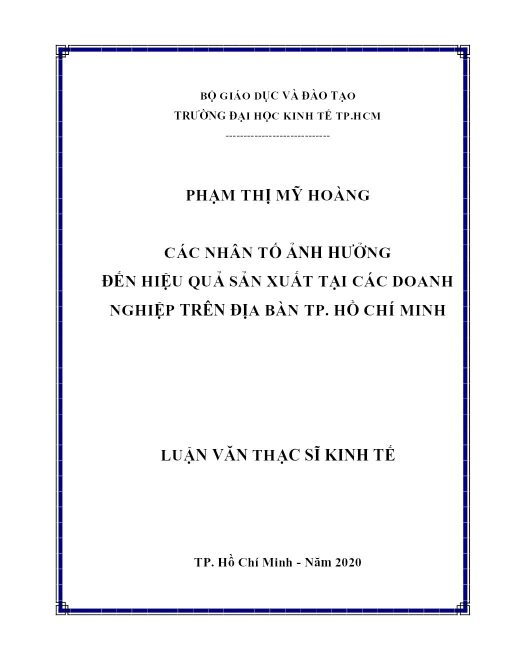 CÁC NHÂN TỐ ẢNH HƯỞNG ĐẾN HIỆU QUẢ SẢN XUẤT TẠI CÁC DOANH NGHIỆP TRÊN ĐỊA BÀN TP. HỒ CHÍ MINH