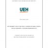 Ownership Concentration, Corporate Risk-Taking, Stock Liquidity and Firm Performance