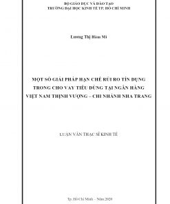 Một Số Giải Pháp Hạn Chế Rủi Ro Tín Dụng Trong Cho Vay Tiêu Dùng Tại Ngân Hàng Việt Nam Thịnh Vượng – Chi Nhánh Nha Trang