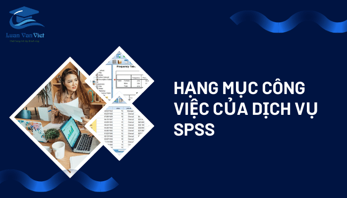 Hạng mục công việc của dịch vụ SPSS