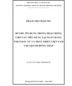 Rủi Ro Tín Dụng Trong Hoạt Động Cho Vay Tiêu Dùng Tại Ngân Hàng TMCP Đầu Tư Và Phát Triển Việt Nam Chi Nhánh Đồng Tháp