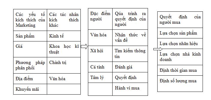 hinh-anh-hanh-vi-nguoi-tieu-dung-4