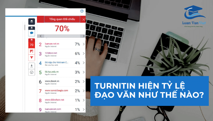 Turnitin hiện tỷ lệ đạo văn như thế nào?