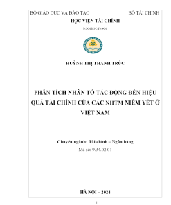 Phân Tích Các Nhân Tố Tác Động Đến Hiệu Quả Tài Chính Của Các Nhtm Niêm Yết Ở Việt Nam