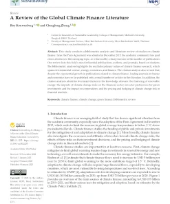 A Review Of The Global Climate Finance Literature