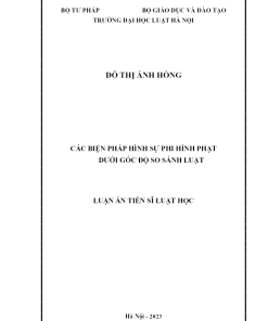 Các Biện Pháp Hình Sự Phi Hình Phạt Dưới Góc Độ So Sánh Luật