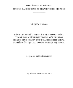 Đánh Giá Sự Hữu Hiệu Của Hệ Thống Thông Tin Kế Toán Tích Hợp Trong Môi Trường Hoạch Định Nguồn Lực Doanh Nghiệp (ERP) - Nghiên Cứu Tại Các Doanh Nghiệp Việt Nam