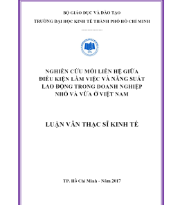 Nghiên Cứu Mối Liên Hệ Giữa Điều Kiện Làm Việc Và Năng Suất Lao Động Trong Dnnvv Ở Việt Nam