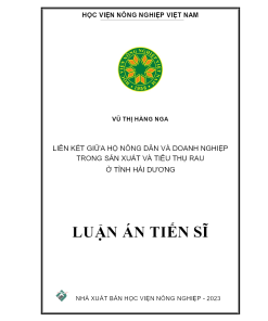 Liên Kết Giữa Hộ Nông Dân Và Doanh Nghiệp Trong Sản Xuất Và Tiêu Thụ Rau Ở Tỉnh Hải Dương