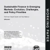 Sustainable Finance In Emerging Markets: Evolution, Challenges, And Policy Priorities