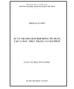 Xử Lý Tranh Chấp Hợp Đồng Tín Dụng Tại Cà Mau, Thực Trạng Và Giải Pháp